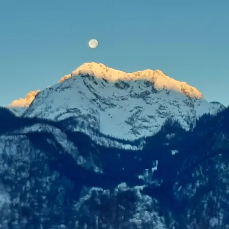 Lägenhet Green Lodge *