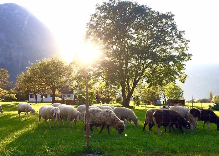 Apartman Green Lodge *