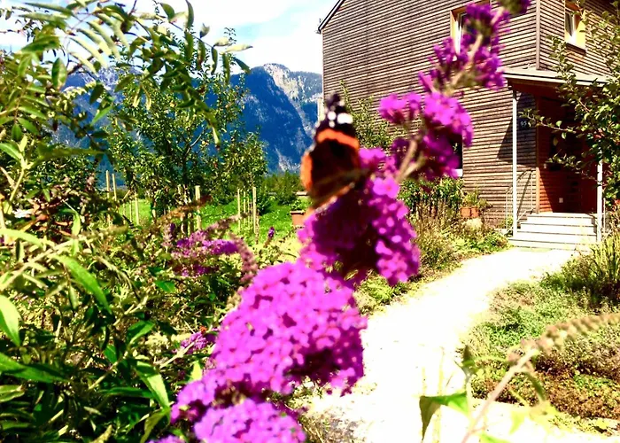 Διαμέρισμα Green Lodge