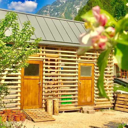 Green Lodge * Обертраун