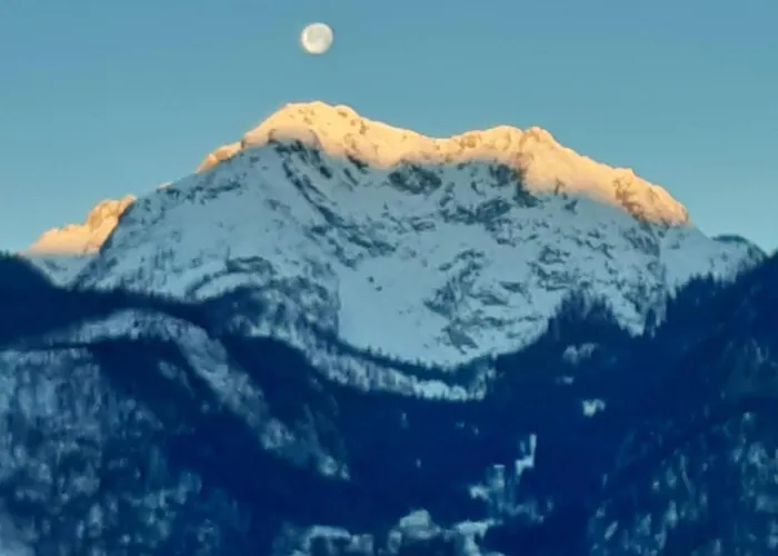 Apartamento Green Lodge *